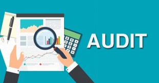 ICAI | Seeking Preliminary Expression of Interest for Audit Tool