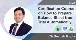 Certification Course on How to Prepare Balance Sheet from Trial Automatically