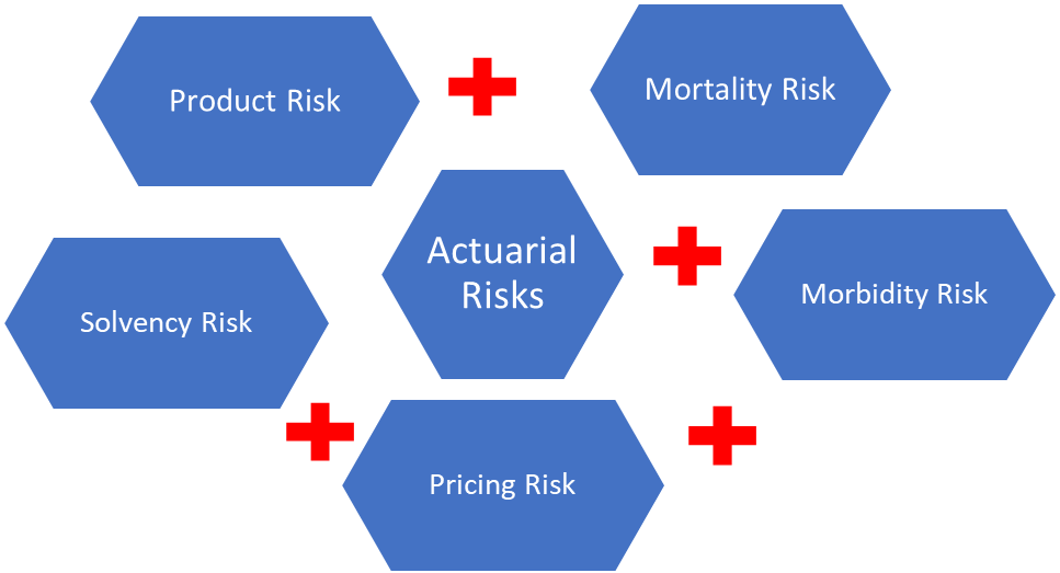 KEY FACTORS INFLUENCING ACTUARIAL RISKS<