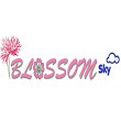 Blossom Sky